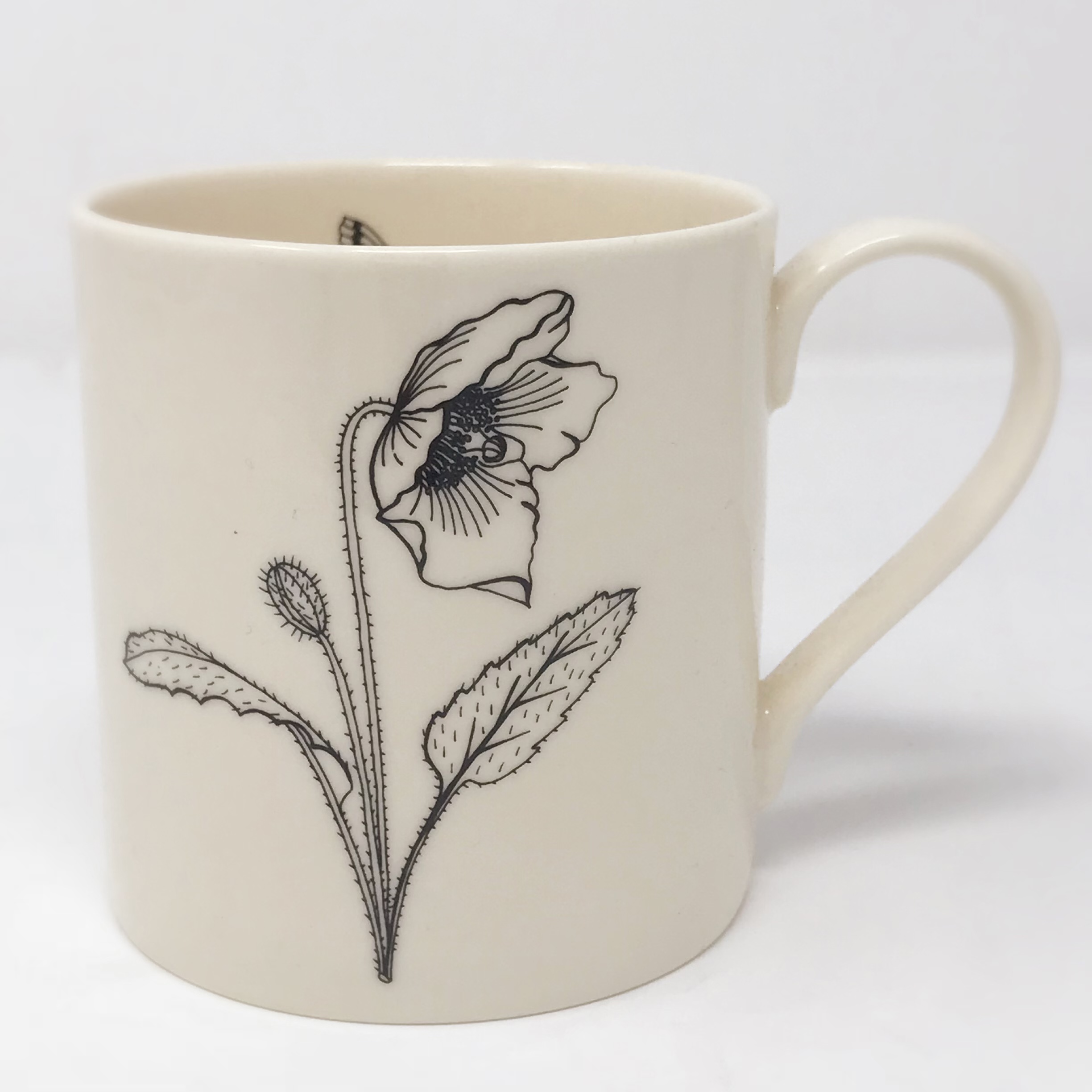 Pale & Interesting Poppy With Hawkmoth Modern Botanicals Flower Mugs