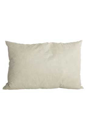 30X50Cm Feather Pillow