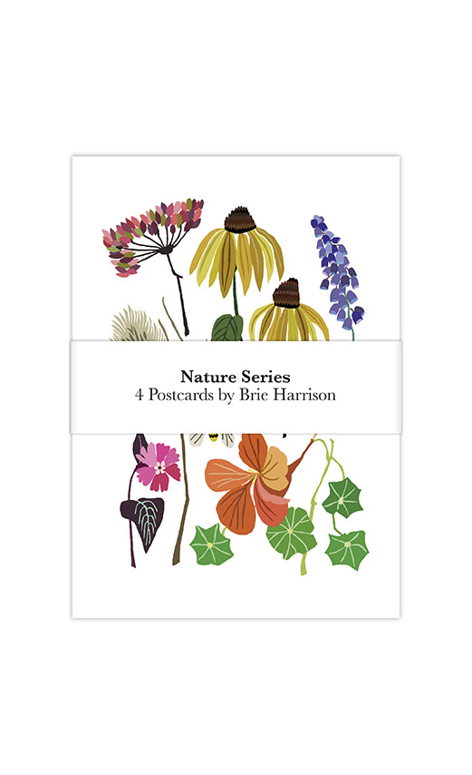 Brie Harrison  Pack Of 4 Nature Study Postcards 