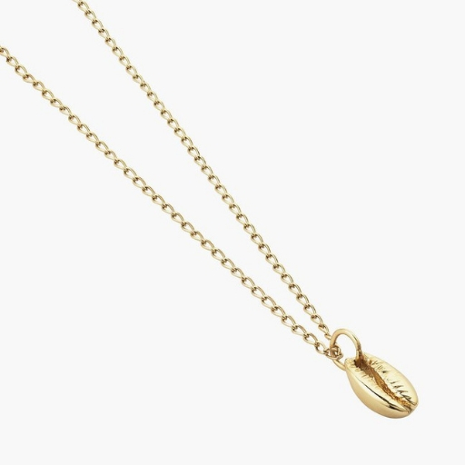 Aym Gold Shell Necklace