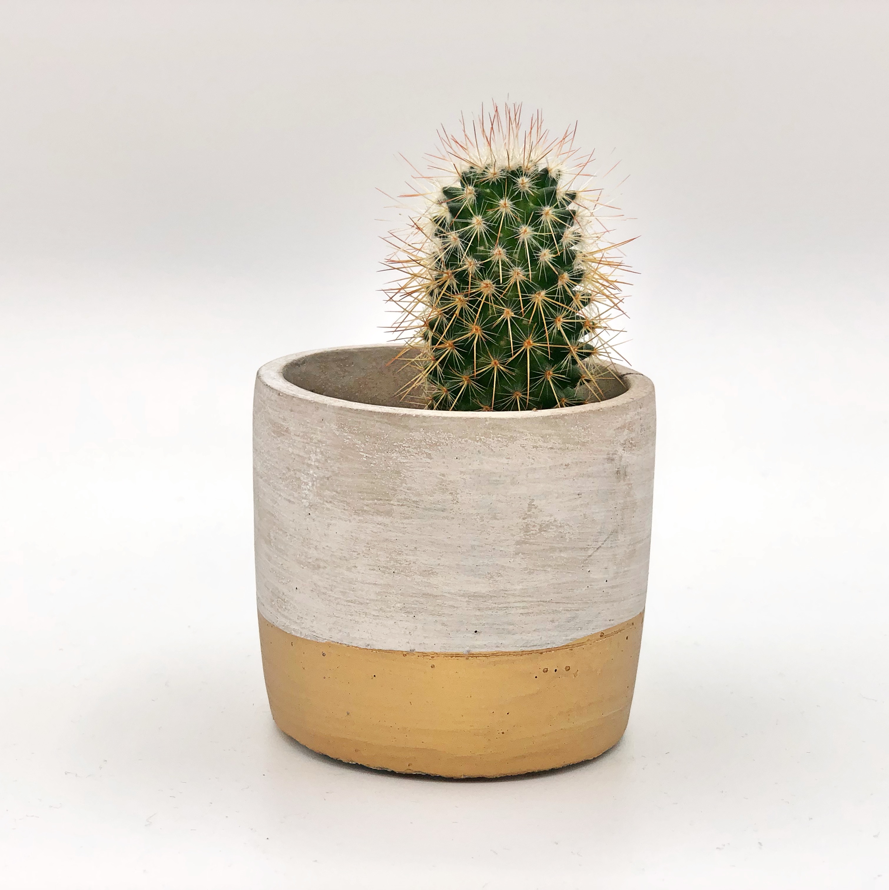 Sass & Belle  Tuva Gold Dip Cement Mini Planter