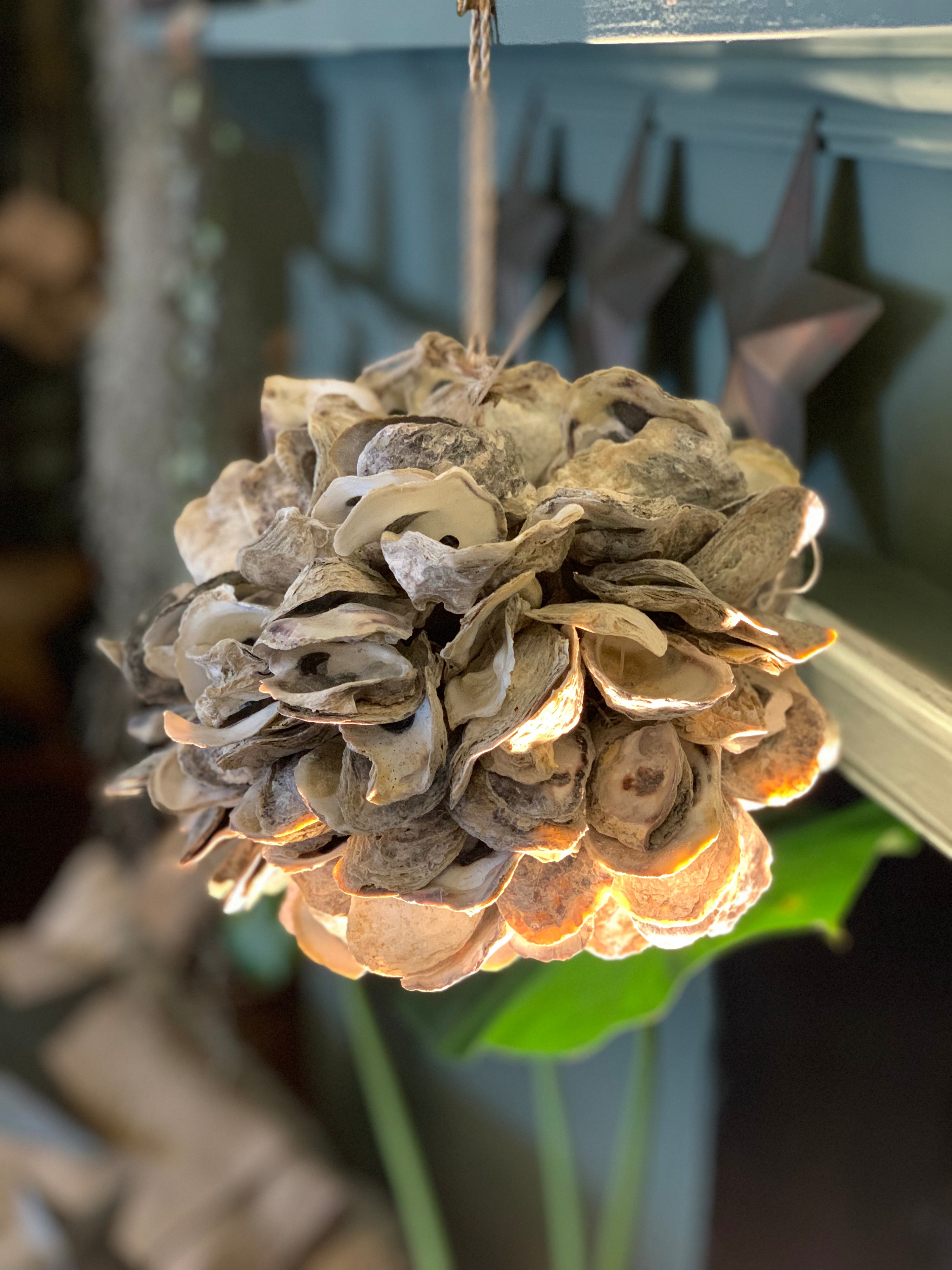 Oyster Shell Hanging Decoration - Small 