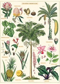 Cavallini & Co Tropical Plants  Poster