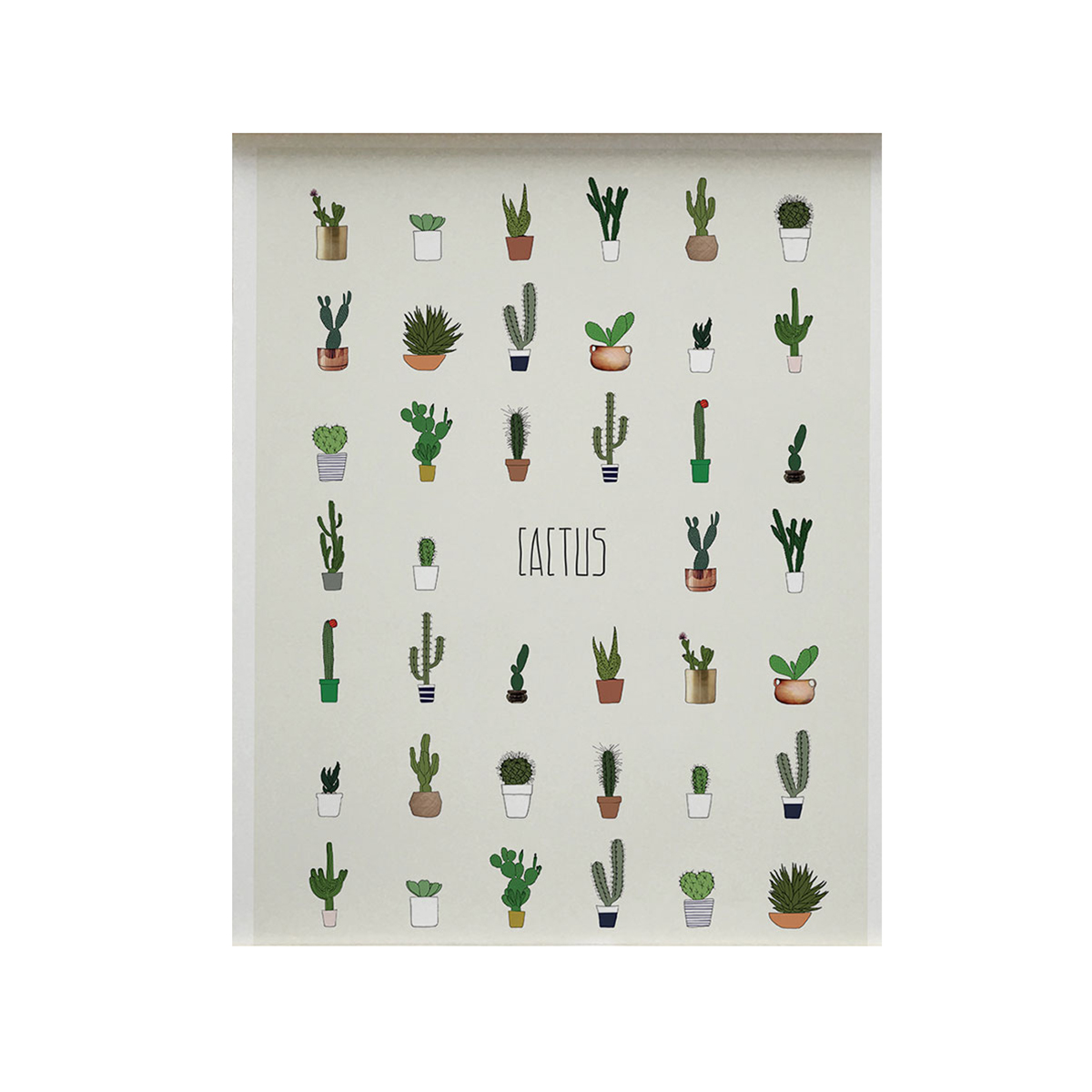 memory-affiche-30-x-40-cm-cactus-poster