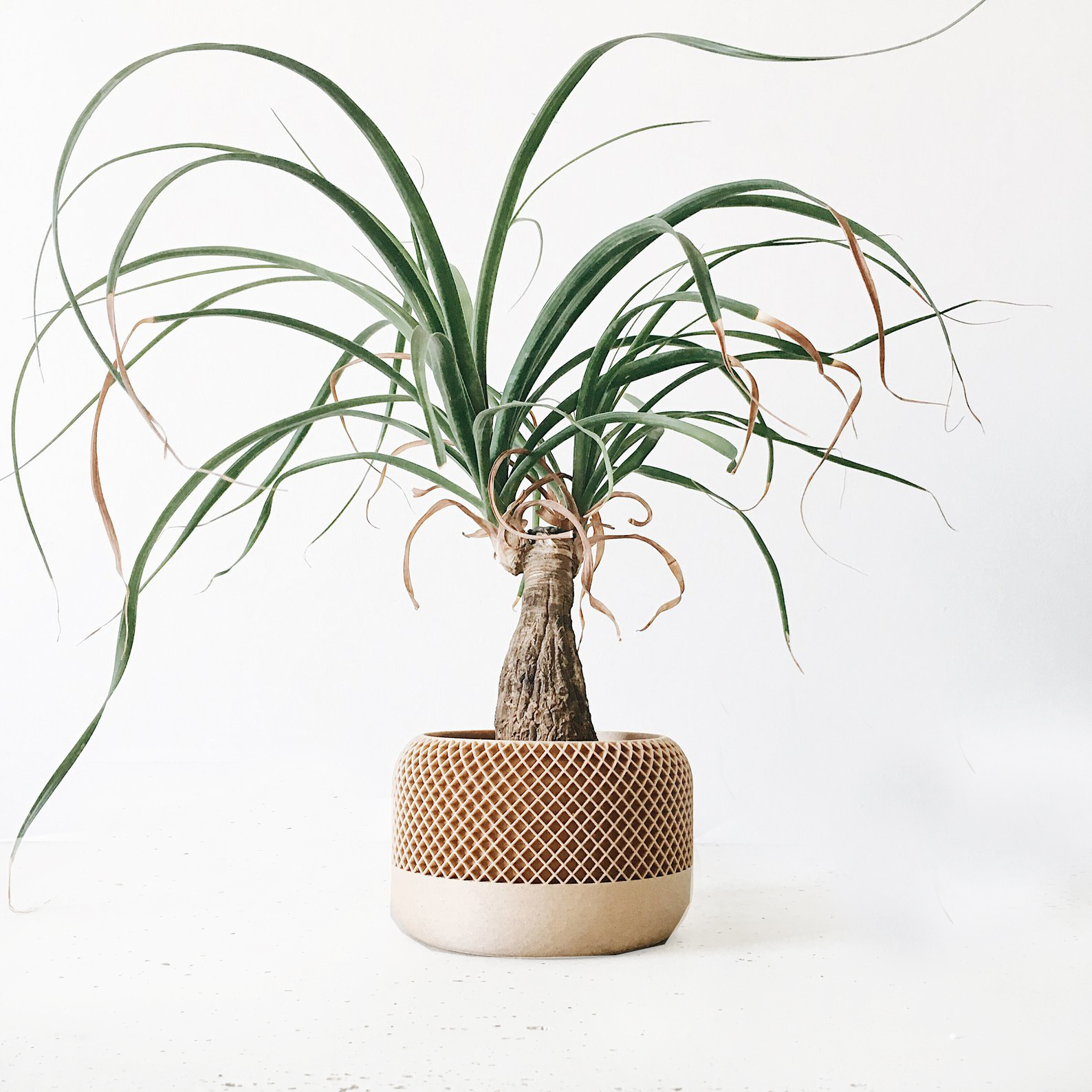 minimum-design-eco-friendly-apple-natural-plant-pot-3d-printing