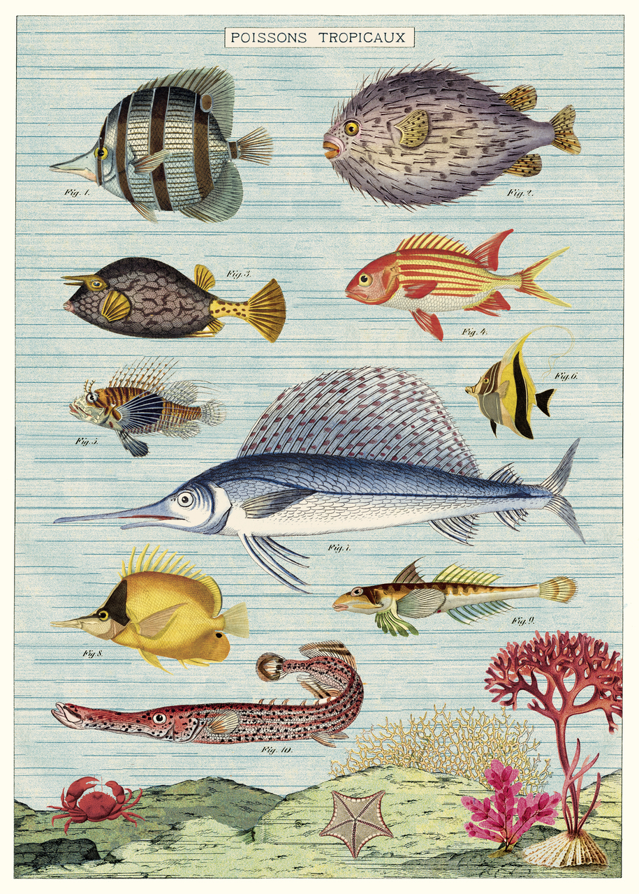 Cavallini & Co Tropical Fish Poster