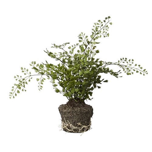 Lene Bjerre Artificial Green Flora Fern