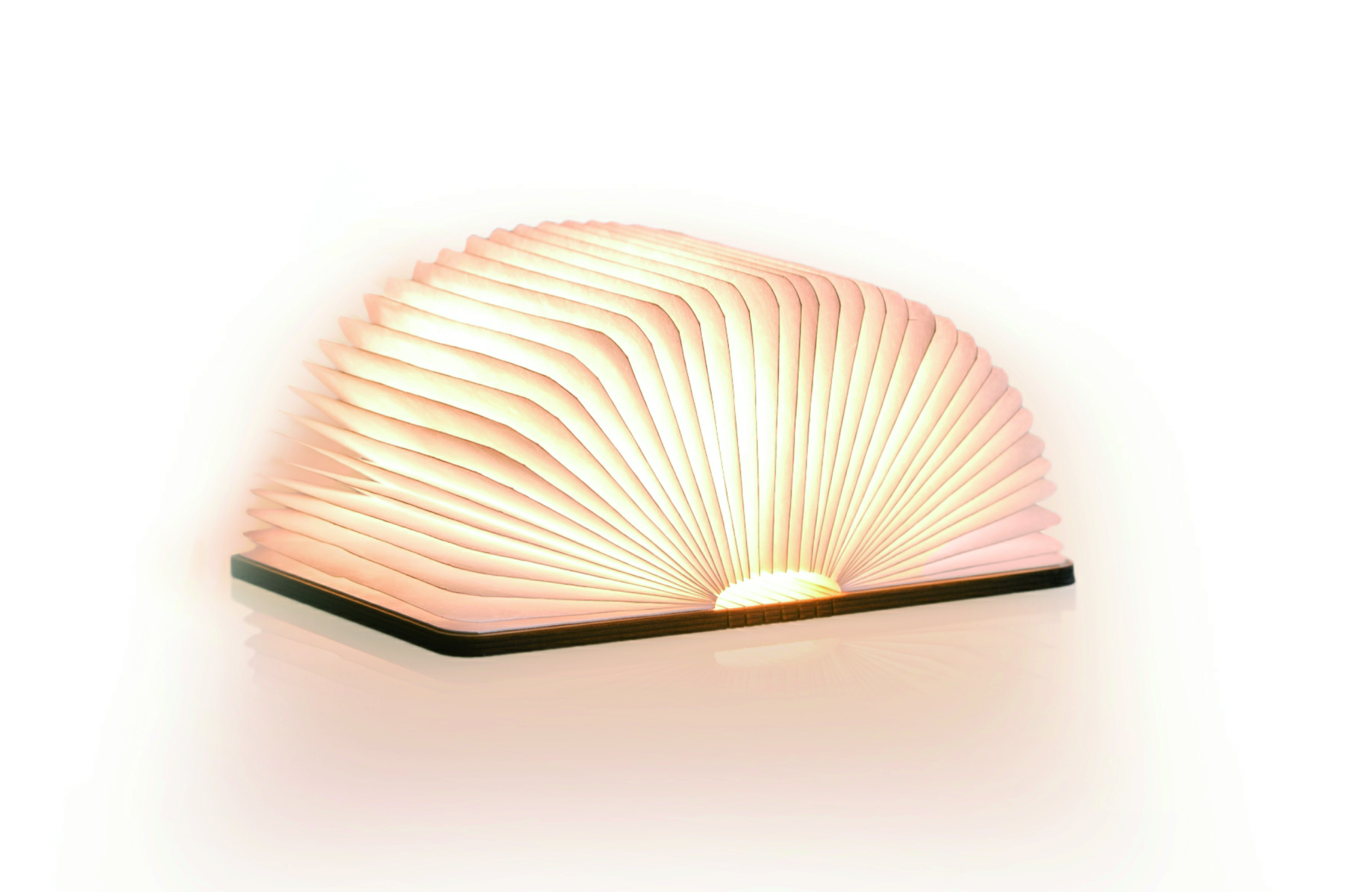 Gingko Book Light Small