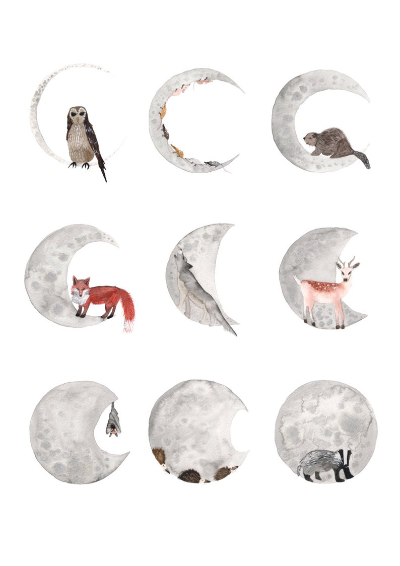 Hattie Buckwell Moon Phase A3 Art Print