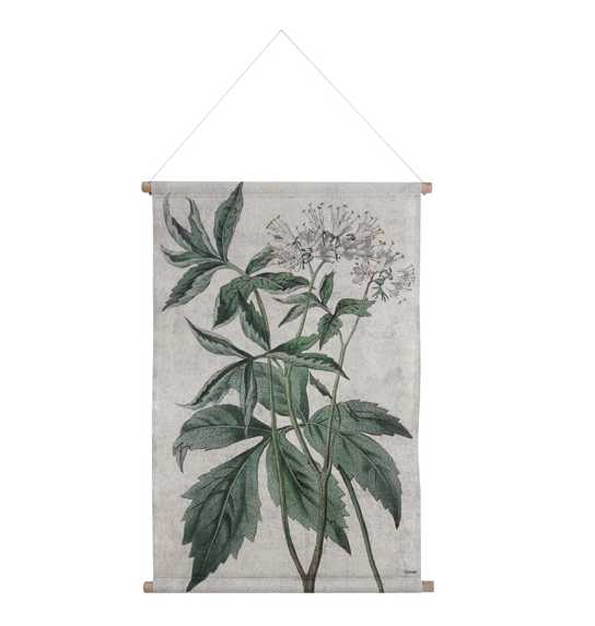 HK Living Botanical Wall Chart L