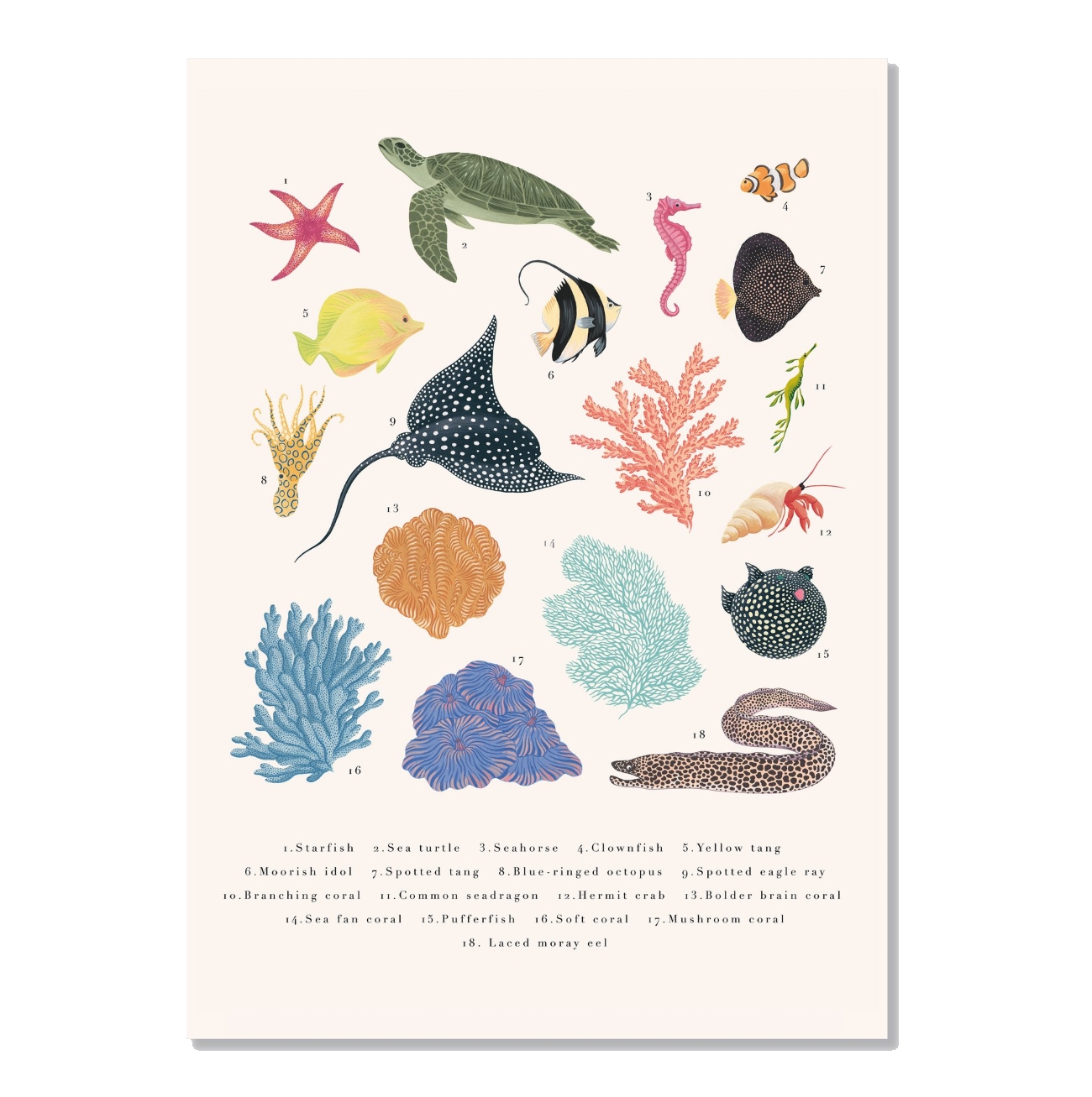 asa-holmberg-paper-coral-reef-poster