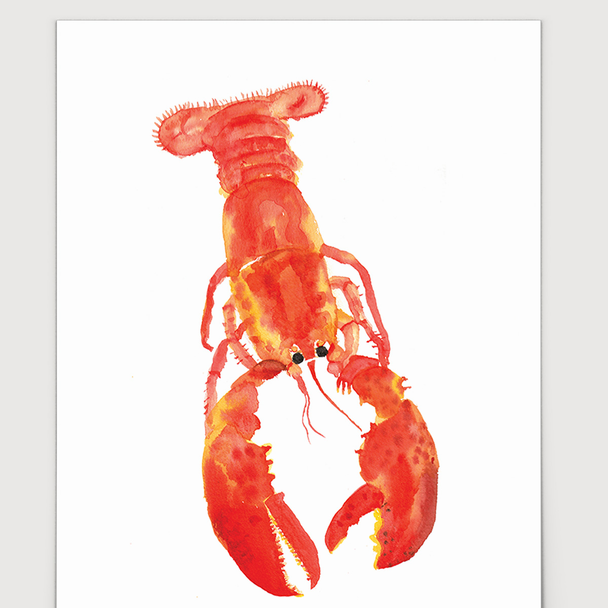 Rosie Webb  Lobster A3 Art Print