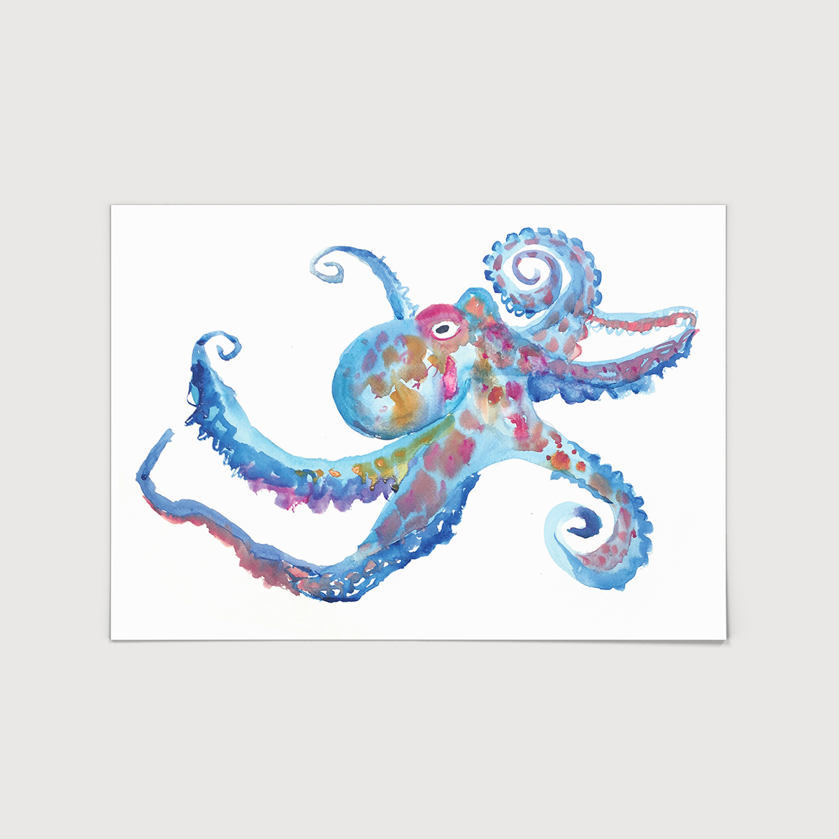 rosie-webb-octopus-a3-art-print