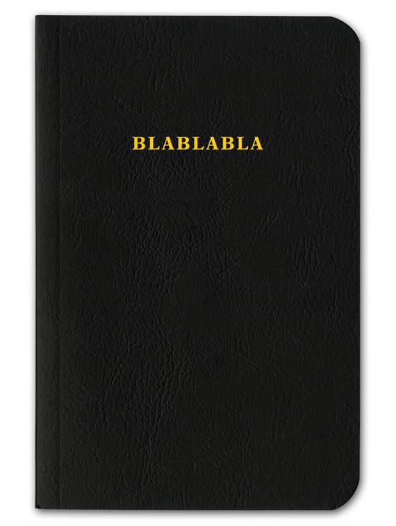Belleza Infinita Blablabla Book by Roberto Equisoain