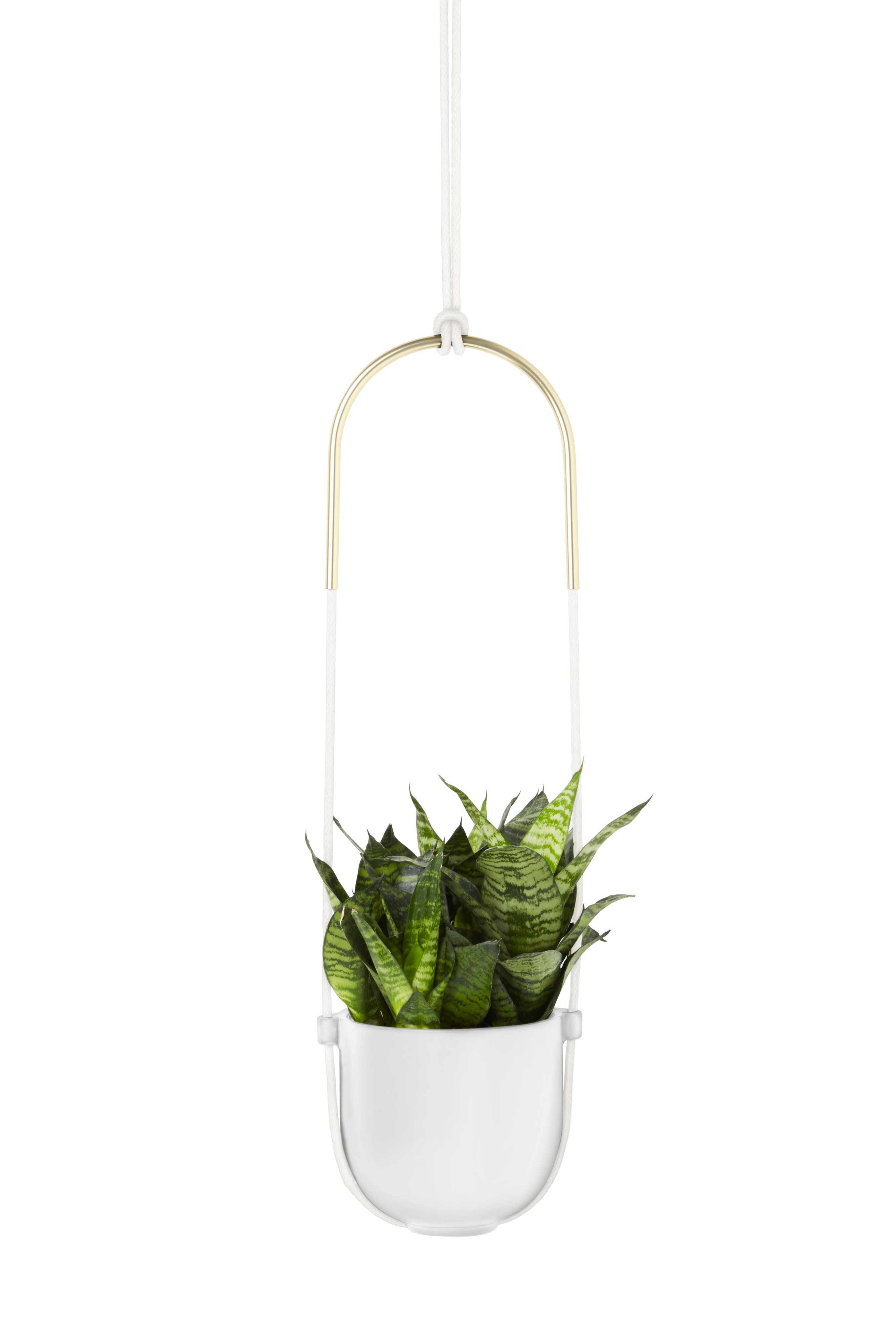 Umbra White Bolo Hanging Planter