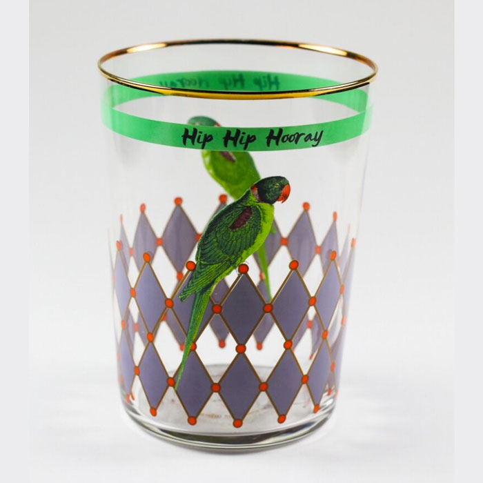 yvonne-ellen-hip-hip-hooray-parrot-glass