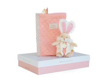 Histoire D'ours Healthbook Cover + Pink Doudou Box