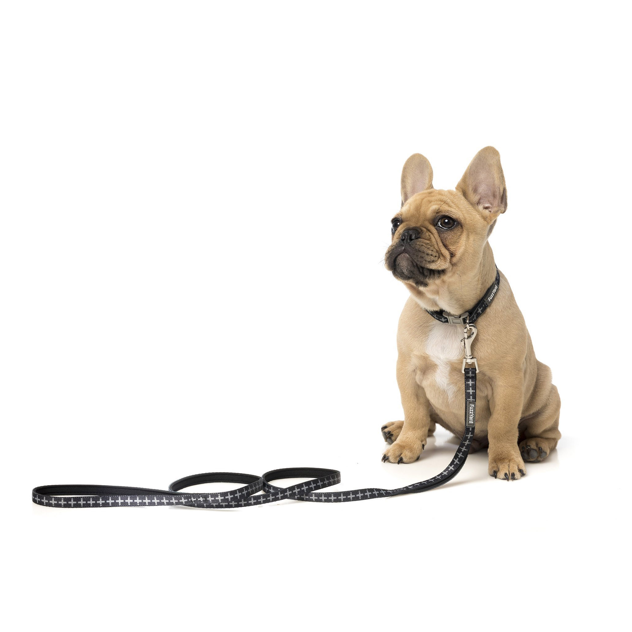 'Yeezy' Dog Lead (Puppy)