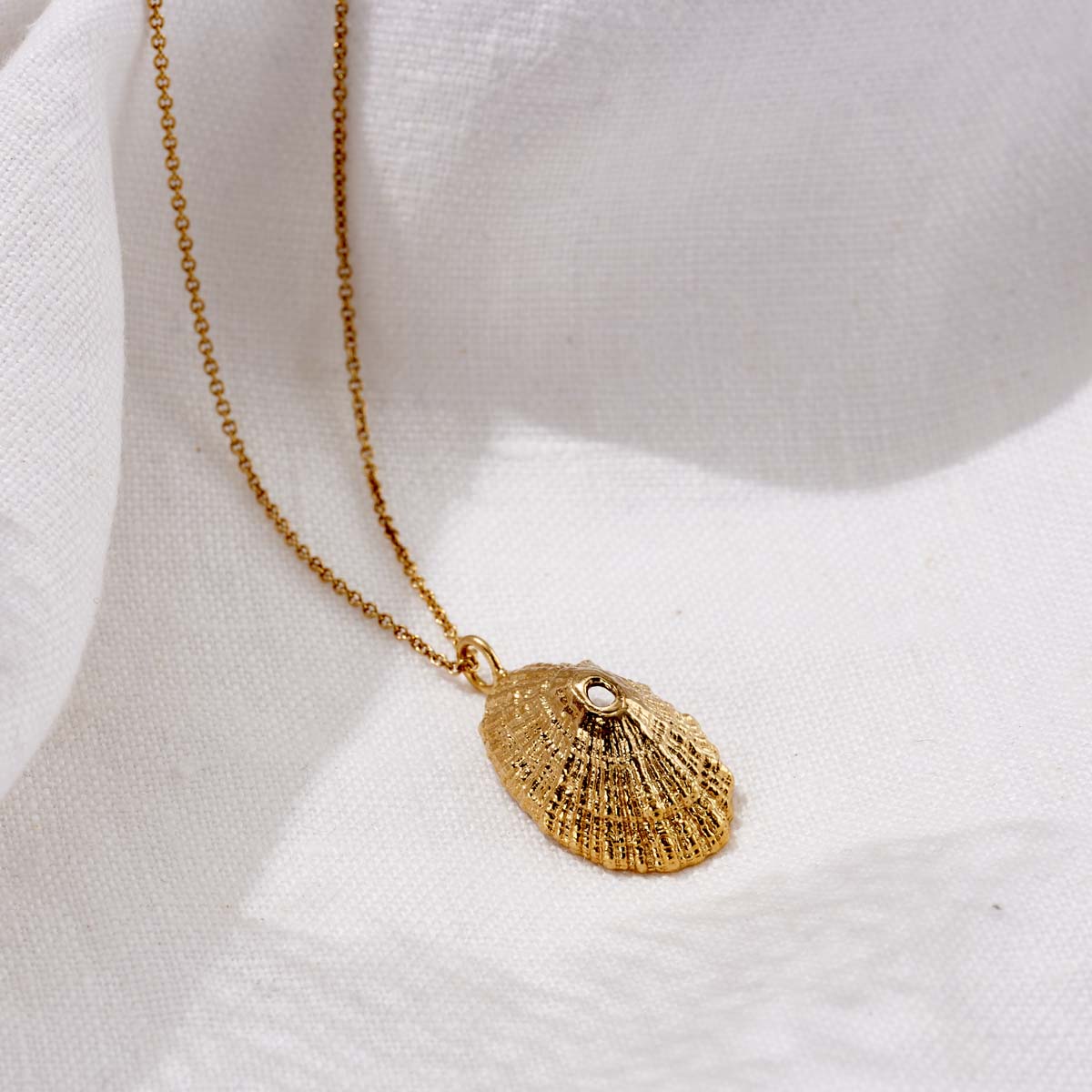 Posh Totty Designs 18ct Gold Plate Limpet Shell Necklace