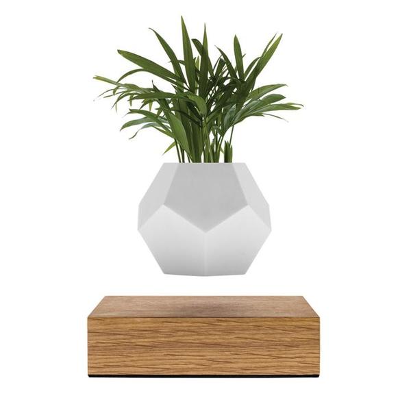 Flyte Lyfe Levitating Planter