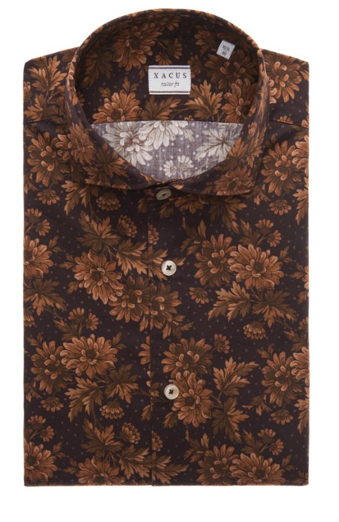 Xacus Shirt Collar cutaway Brown Poplin