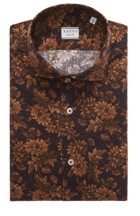 xacus-shirt-collar-cutaway-brown-poplin