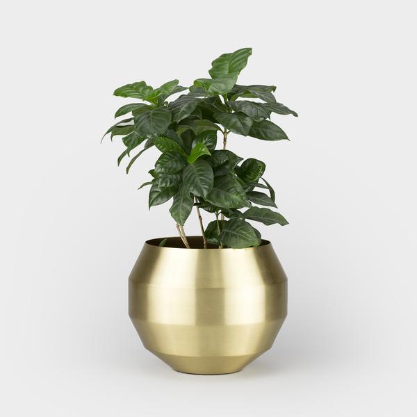 Vitamin Pitch Planter M