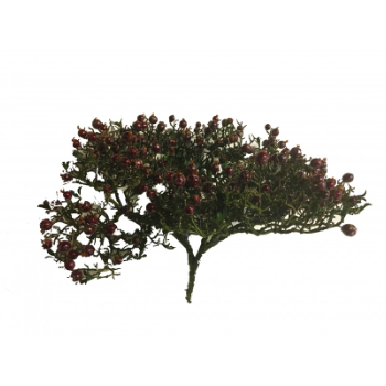 sia-home-christmas-red-berries-branch