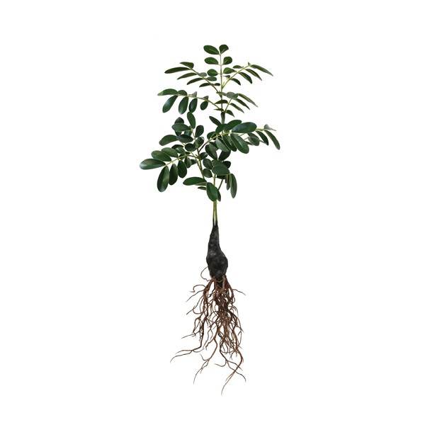 HK Living Medium Artificial Rooted Branch