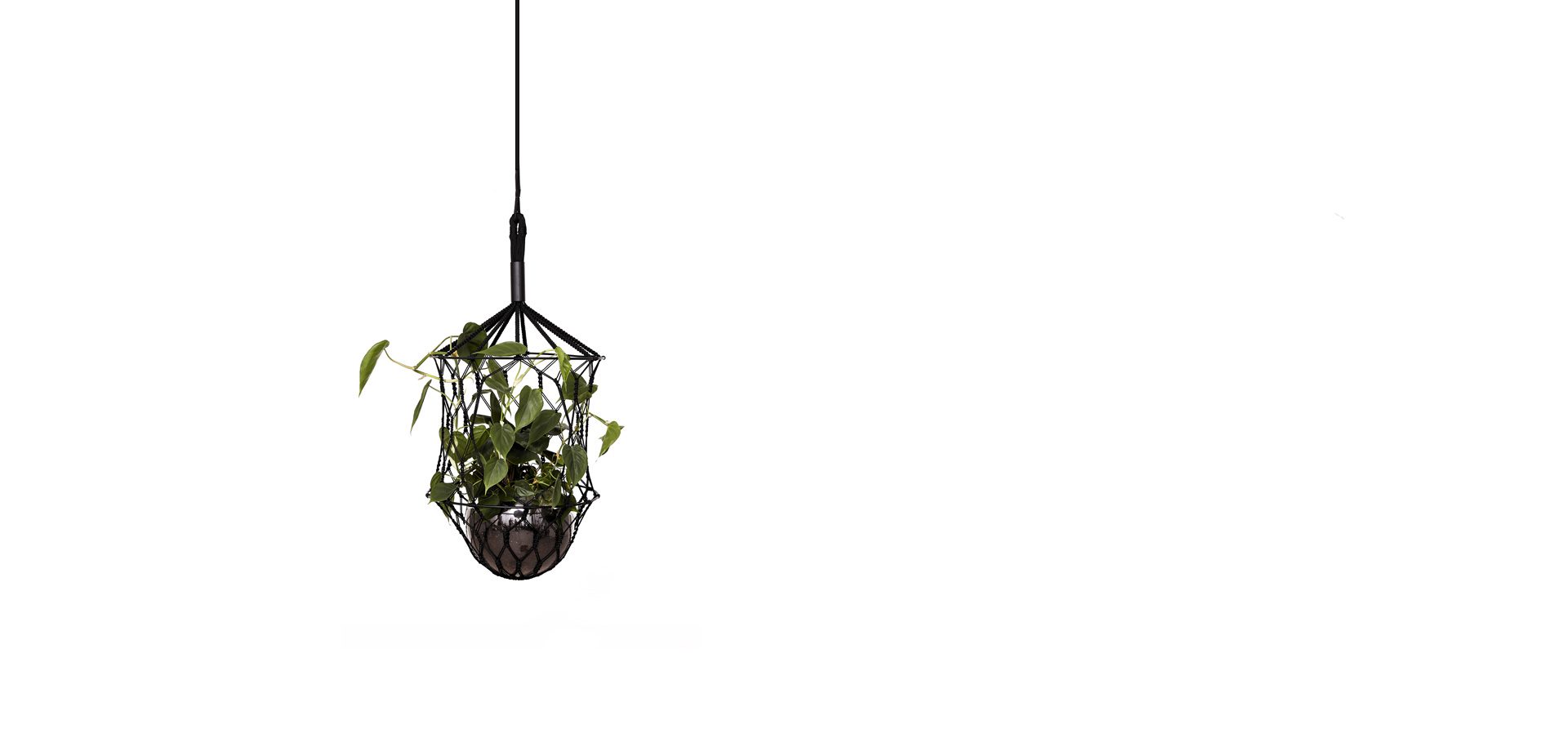 LLot LLov Lucille Bold Plant Hanger