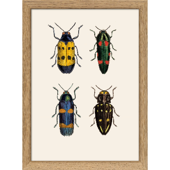 the-dybdahl-co-beetles-print-with-frame