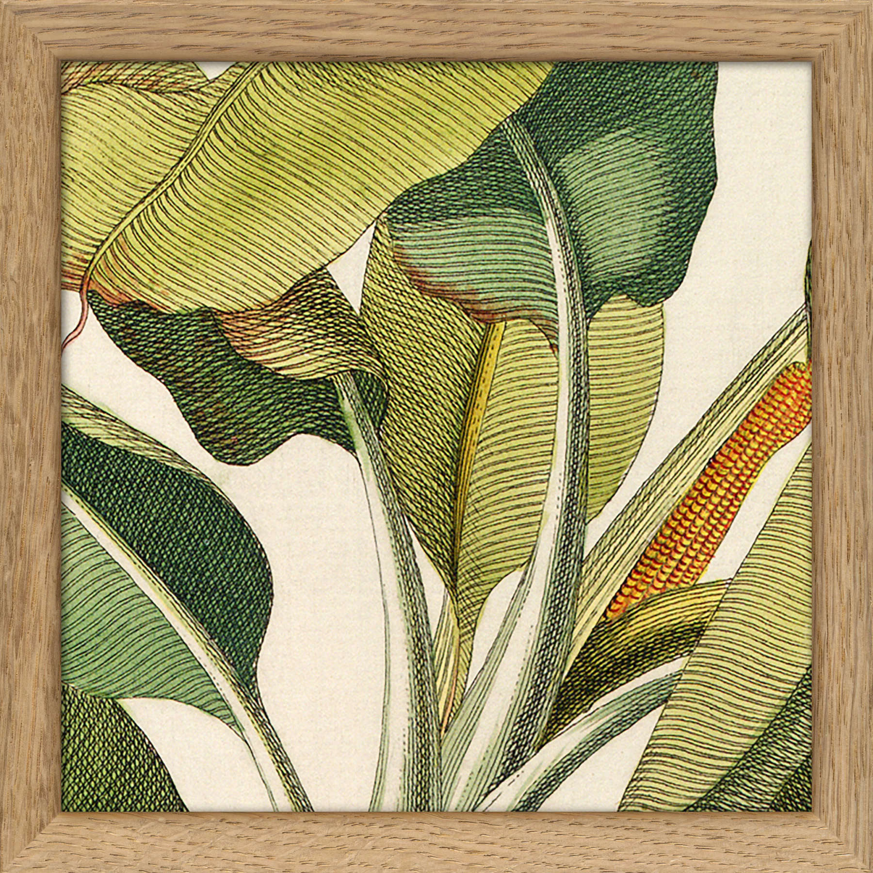 TheDybdahl Co. SQ027 Green Plants Print in Frame