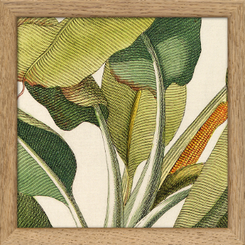 thedybdahl-co-sq027-green-plants-print-in-frame