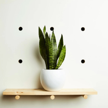 hi-cacti-white-round-ceramic-plant-pot