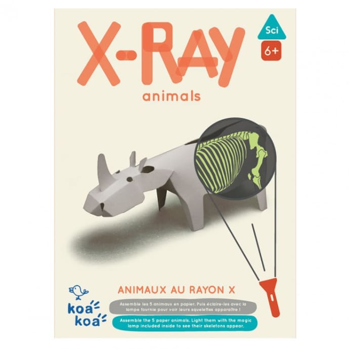 Koa Koa Study Bones Structure X Ray Animals Kit 