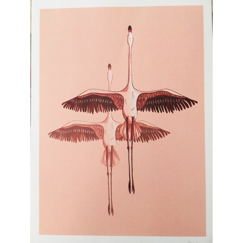 Sabrizzo A4 Flamingos Sabrizzo Illustration Print