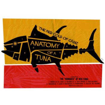 Dr Lapi 33x48 cm Anatomy of A Tuna Dr Lapi Illustration Print