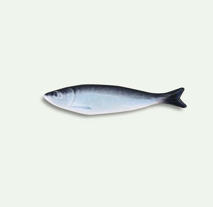 pedro-braz-handmade-ceramic-sardine