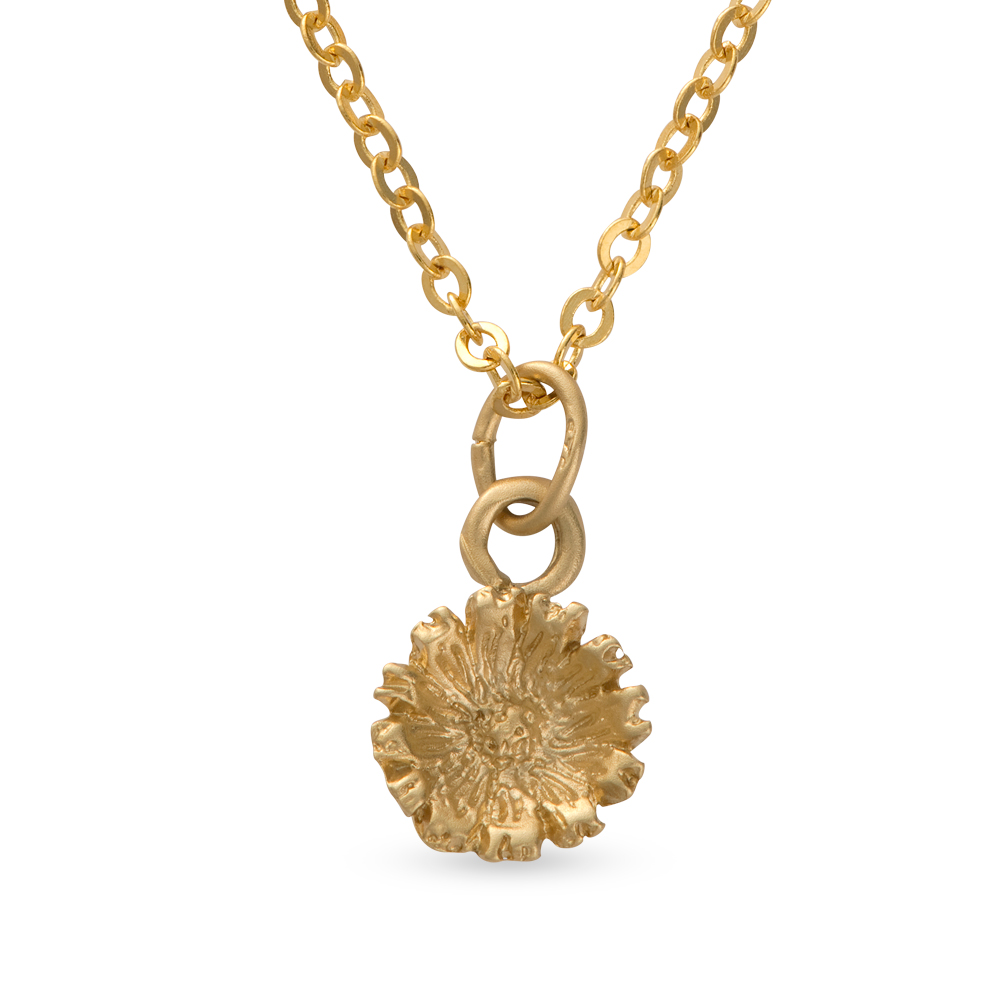 Blackbird London Wild About Flowers Gold Vermeil Daisy Necklace