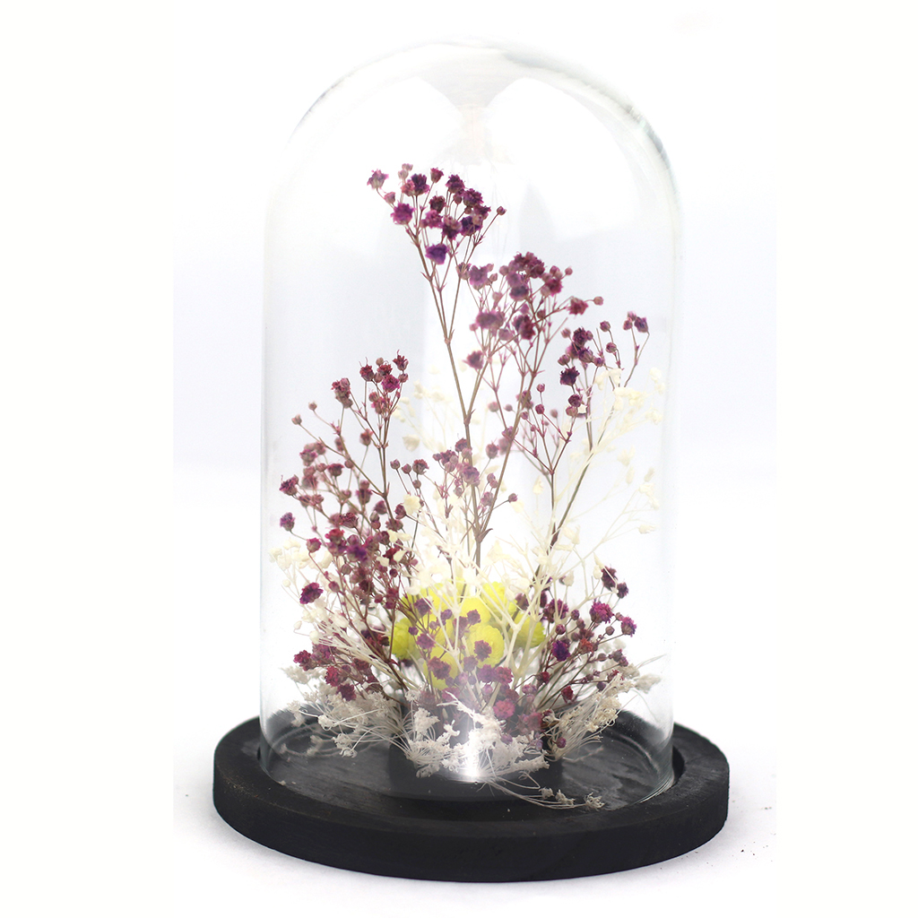 ADELAIDE AVRIL Glass dome  Preserved and dry flowers Purple Yellow
