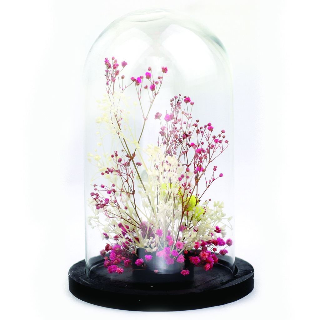 ADELAIDE AVRIL Glass dome  Preserved and dry flowers Pink & Yellow