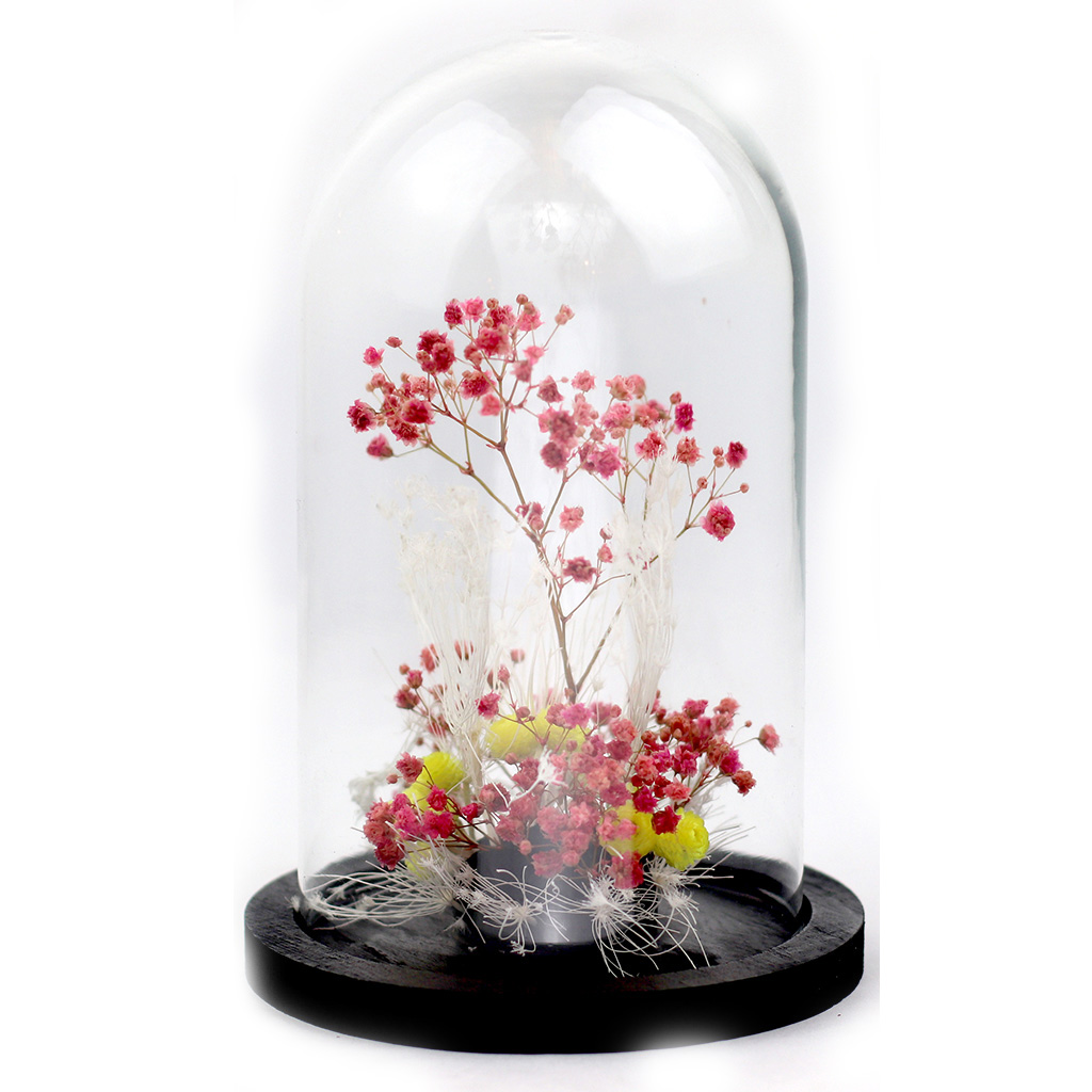 ADELAIDE AVRIL Glass dome  Preserved and dry flowers Pink Tree