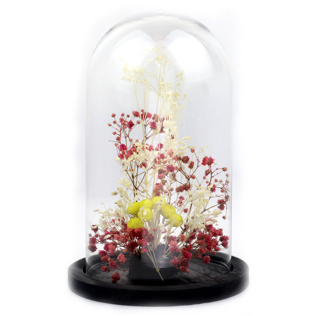 ADELAIDE AVRIL Glass dome  Preserved and dry flowers Yellow Summer