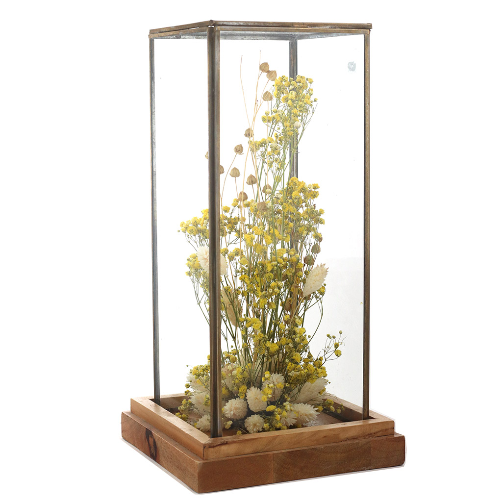 ADELAIDE AVRIL Glass Cube Preserved and Dry Flowers Yellow