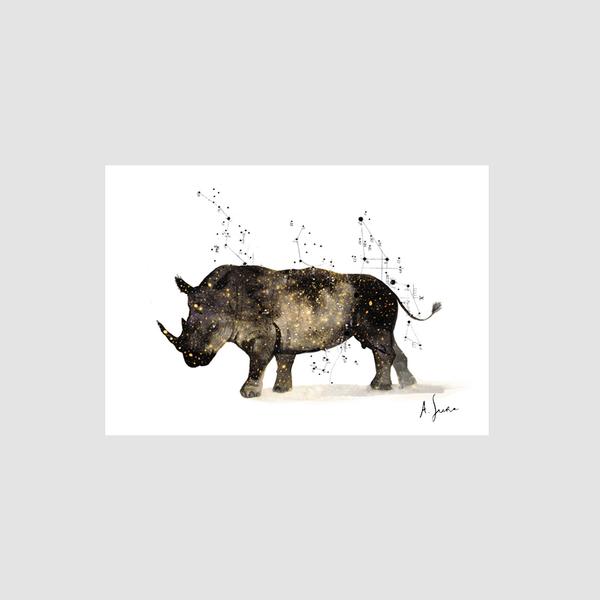 Adolfo Serra A5 Rhinoceros Digital Print