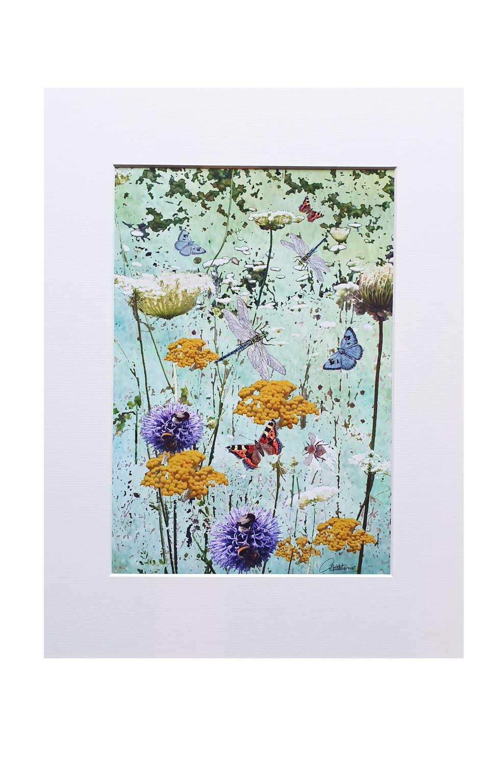 Canvasbutterfly Meadow Art Print
