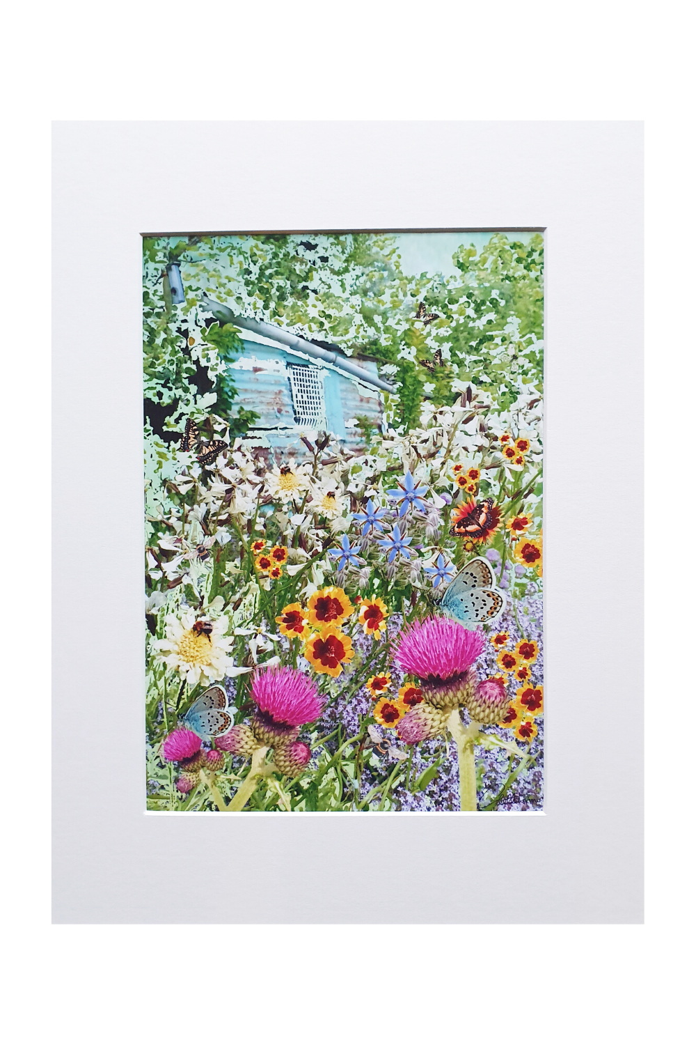 Canvasbutterfly Allotment Garden Art Print