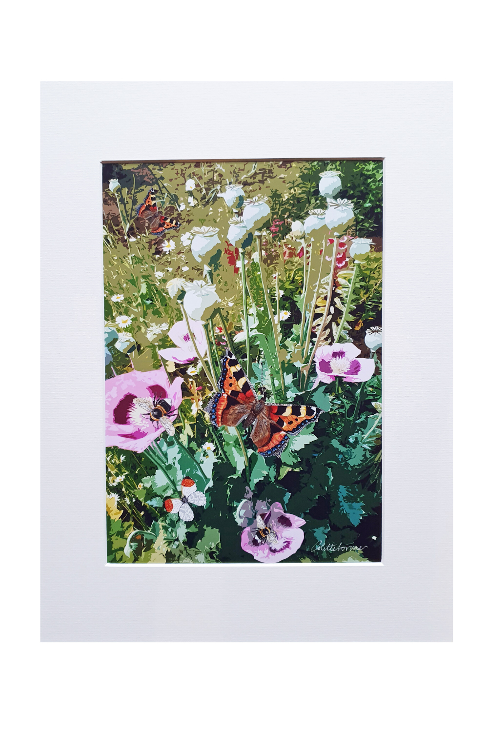 Canvasbutterfly Allotment Garden Poppies Art Print