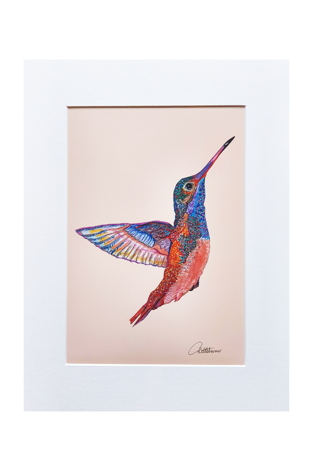 canvasbutterfly-hummingbird-art-print