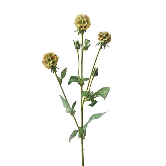 Scabiosa Faux Stem